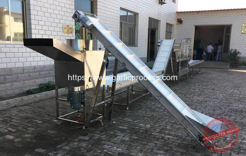 Automatic-Garlic-Clove-Breaking-Machine-for-Poland